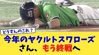 This year's Yakult Swallows are coming to an end [NanJ Professional Baseball Reactions] [2ch Thre...