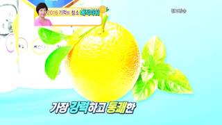 기적의청소 매직파워 15종   8분