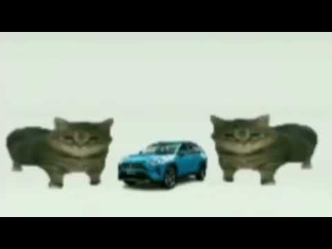 Intreactive Video Test 1