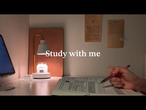 STUDY WITH ME | 1hour | 스터디윗미 | 타이머 | Fire crackling | Alarm | Timer | No breaks | 장작 타는 소리 ASMR 🔥