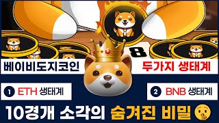 [베이비도지] 베이비도지코인 10경개 소각의 숨은 의미와 두 가지 생태계