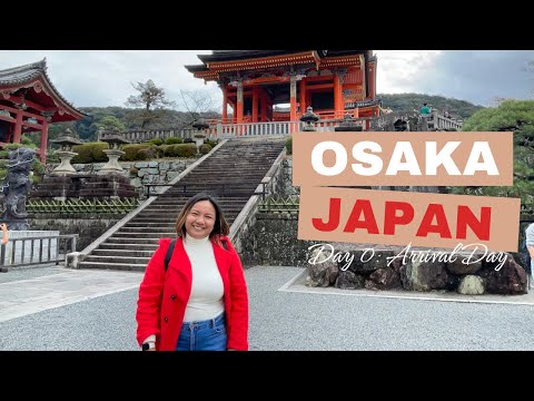 Day0: Arrival at Osaka, Japan | Shinsekai Market