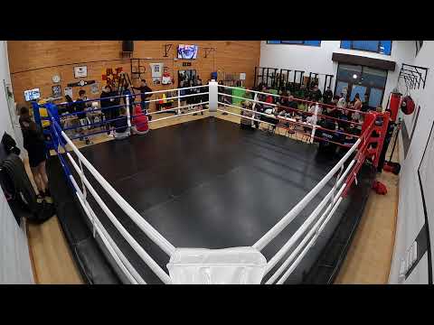 GYM BOXE...live dall Invictus Boxing Club