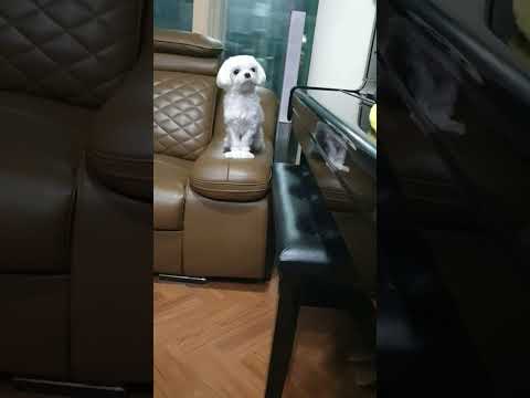 언젠간 부숴버리고 말겠어