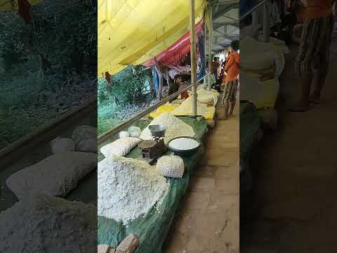 मां मुंडेश्वरी मंदिर//vinod chaudhy Blog