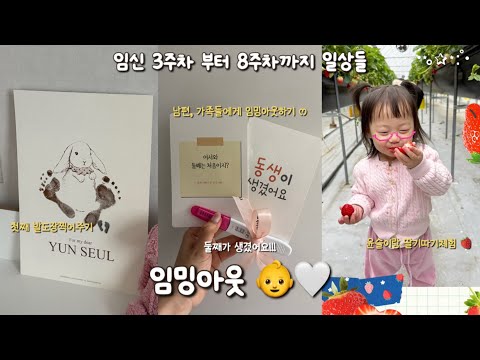 둘째가 생겼어요 👶🤍 남편이랑 가족들에게 임밍아웃 하기 [임신 3주차~8주차] 임신일기