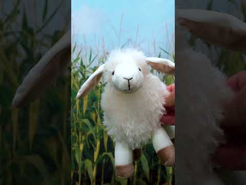 Baa Baa🐑! Farmer Blippi 👨‍🌾 has a Cute FLUFFY Sheep! #blippi #shorts
