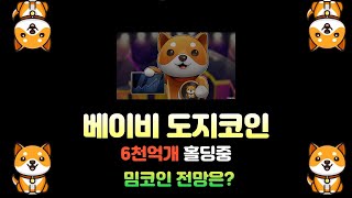 베이비도지코인 6천억개홀딩중 에어드랍얻는법 공짜80만원 받아가세요!