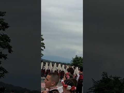 Ritualul trandafirilor văzut prin ochii mei