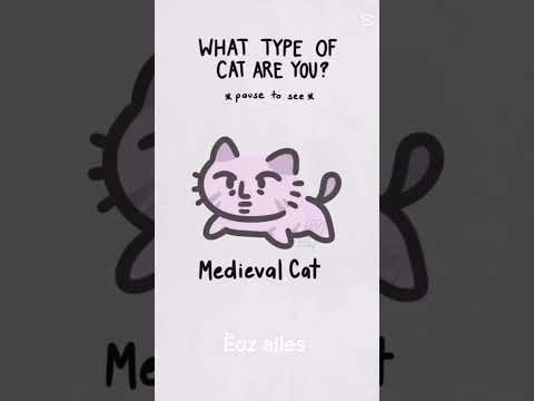 what cat are u??? #cat#kitty#cute#cats#kitten#viralshort #trend #cute#music #YouTube#trend