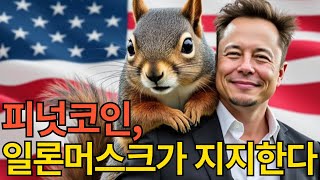 [피넛 코인] 일론머스크가 말아주는 피넛코인