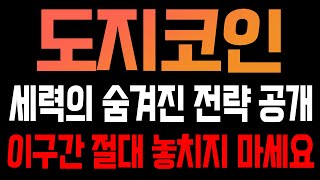 [도지코인 코인전망] 세력의 숨겨진 전략 공개!! 이구간 절대 놓치지 마세요!!