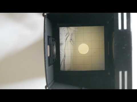 Rolleiflex Automatic Parallax Correction