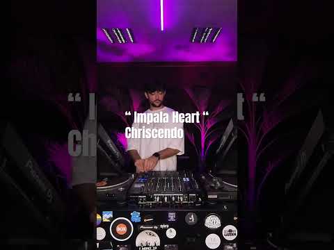 Neni - Live @ Tbilisi, Georgia 2024, Tribal Techno & Afro House #shorts #neni #afrohouse #nenidj