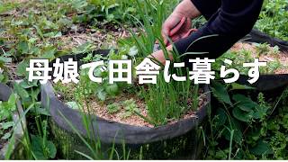 自給暮らしvlog｜何気ない日常の小さな挑戦｜母娘で暮らす楽しい田舎暮らし｜#67