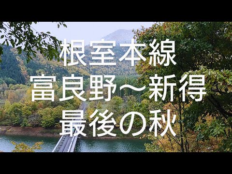 【根室本線　富良野〜新得間最後の秋】雨予報がみぞれになり、紅葉と、雪の贅沢な絵になりました。