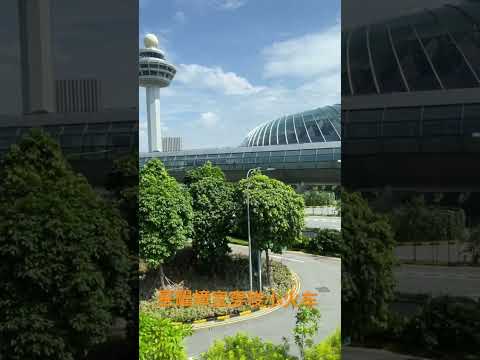 🇸🇬新加坡樟宜机场的星耀樟宜穿梭小火车#新加坡 #新加坡机场 #樟宜機場 #星耀樟宜 #jewel  #changi #旅游 #自由行 #vlog #观光