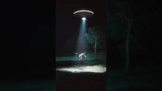 TOMORROW. Real evidence of extraterrestrial life. I will upload to Youtube at precisely 5pm BST
