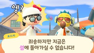 [모동숲] 로드리 비행기가 출발하지 않는 이유 😵 동물의숲 신기한 실험 영상