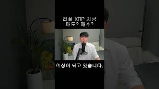 [리플 XRP] XRP, 지금 매도할까? 보유할까?