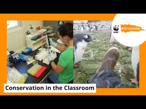 Celebrating Women in Science