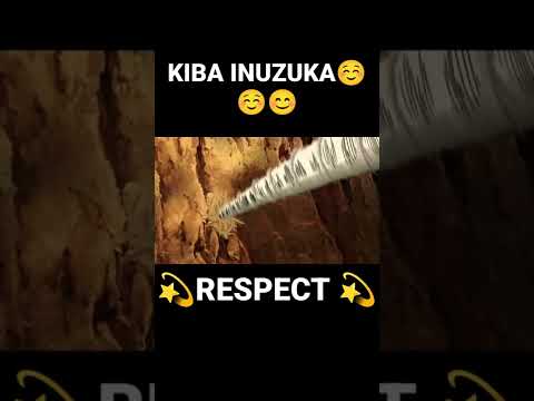 KIBA INUZUKA VARY STRONG 😳😳❤️