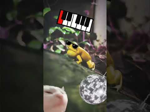 frog remix #frog #music #shorts