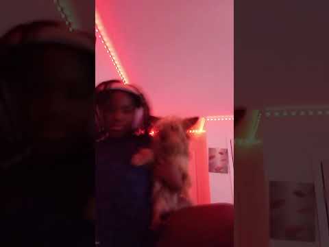 me and my dog#duet