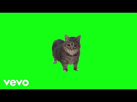 AnimalSounds - OIIA OIIA (Spinning Cat) (Official Music Video)