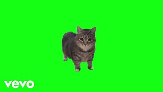 AnimalSounds - OIIA OIIA (Spinning Cat) (Official Music Video)