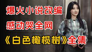 战地记者与爆破专家的凄美爱情。一口气看完《白色橄榄树》全集。