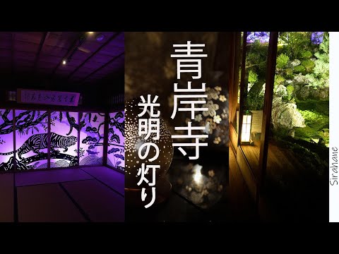 【vlog】α6700を持ってお散歩　青岸寺 光明の灯り ナイトイルミネーションが見たくて滋賀県の米原まで行ってみた