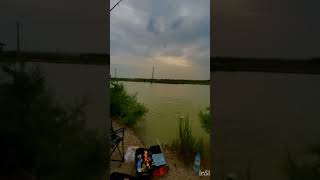 "Oh my, what a catch!"😳#FishingAlone#PondFishing#SoloFishing#QuietMoments#PeacefulNature#TranquilVib
