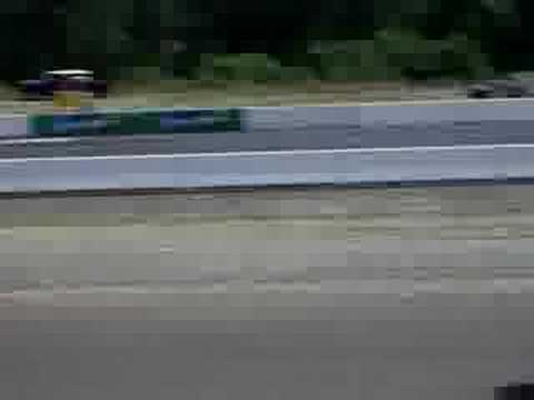 Grecco's Race Bunny 1
