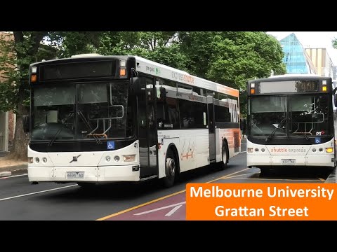 Buses at Melbourne University at Grattan Street - Melbourne Transport