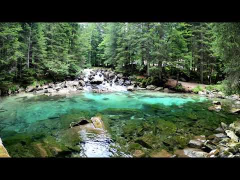[2 hours] ✨📖Healing Music with Bird Chirping Sound | For Sleeping/Healing/Meditation/Studying💕🎶