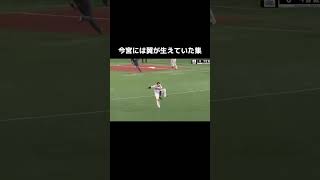 今宮には翼が生えていた集#プロ野球 #福岡ソフトバンクホークス #パリーグ #パリーグtv