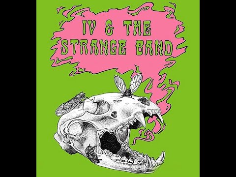 IV and the Stranger Band * live @ Rose Music Hall * Punk Rock Girl * Columbia, MO