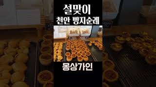 빵지순례는 천안에서! 충청도 천안유명빵집투어 케이크 파이 다 못잃어