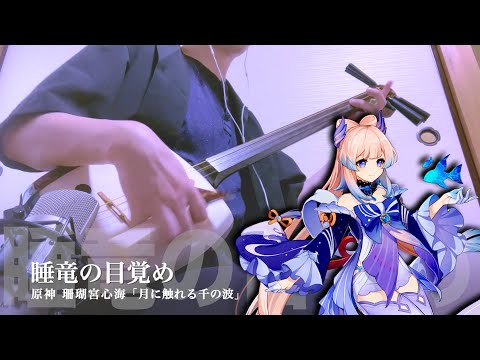 【Genshin Impact：Sangonomiya Kokomi BGM】Japanese Shamisen Cover