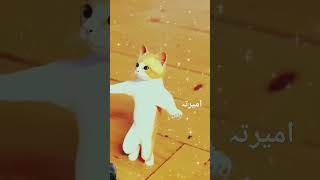 #cuteanimaldance #viralvideo #funny #tiktokvideo