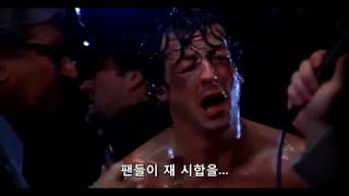 보기만 해도 힘이 되는 : 영화 [록키] 최고의 명장면