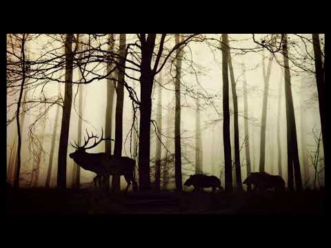 Relaxing Music "FROLIC" #PIANOMUSIC #RELAXINGMUSIC #COMFORTMUSIC #PEACE #AMBIENTMUSIC #POSITIVE