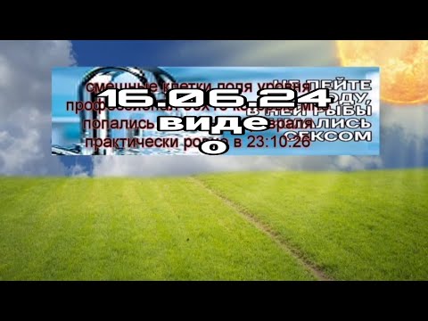 виде