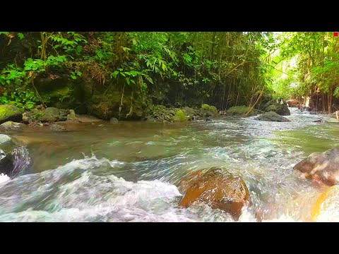 Relaxing River Sound improves mood, relieves stress, helps sleep soundly