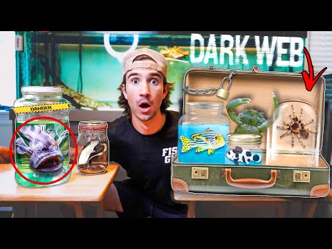 Ordering FISH FILLED Briefcase OFF The DARK WEB... (what’s inside?)