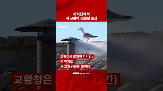 바티칸에서 선명하게 포착된 ‘흰색 연기‘ #bbc #bbc코리아