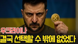 리플 엑스알피 5월 급격한 상승이 나올수 밖에 없는 이유! 우크라이나도 결국 선택했다!