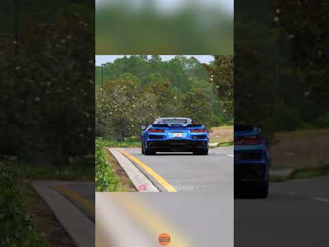 What is the best sounding C8 Corvette? #corvette #c8 #exhaust