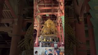 Todaiji Temple Nara Japan #japan #nara #japantemple #temple #travel #familytime #family